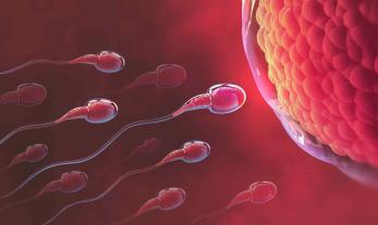 Principali miti e realtà in tema di fertilità – Clearblue
